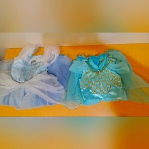 2 princess costumes